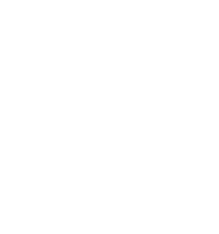 Young Mayor of Lewisham